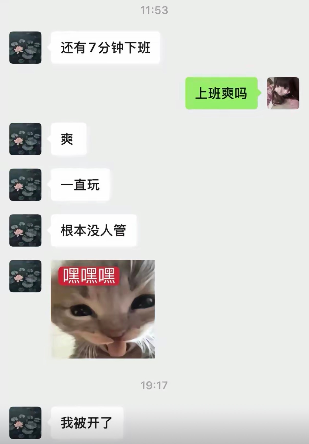 我被开了[柯基] ​​​