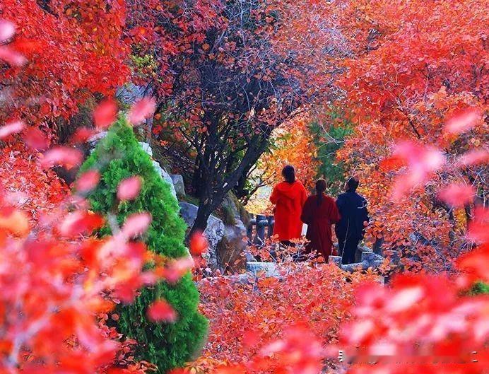 可直接导航、无冗余、秘境+美食双在线的临朐南部山区自驾一日路线（潍坊/临朐出发通
