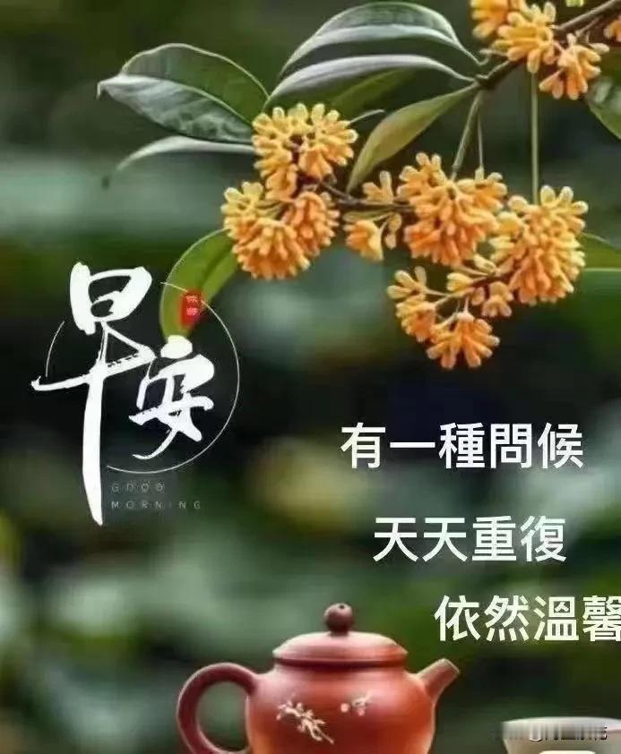 早安吉祥[玫瑰]

每天都是美好的时光！
幸福的生活还是陪伴我们左右，
今天又是