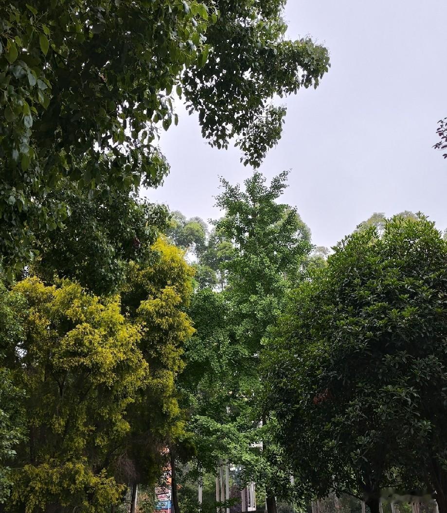 人这一辈子，
活得舒心比活得风光更重要。

少胡思乱想，
少内耗自己，
凡事看淡