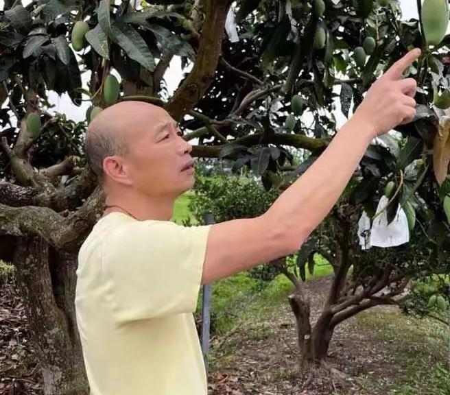 历经前几天立法院各种大战要战，韩国瑜趁周末陪家人在果园散步，看看芒果长得怎么样，