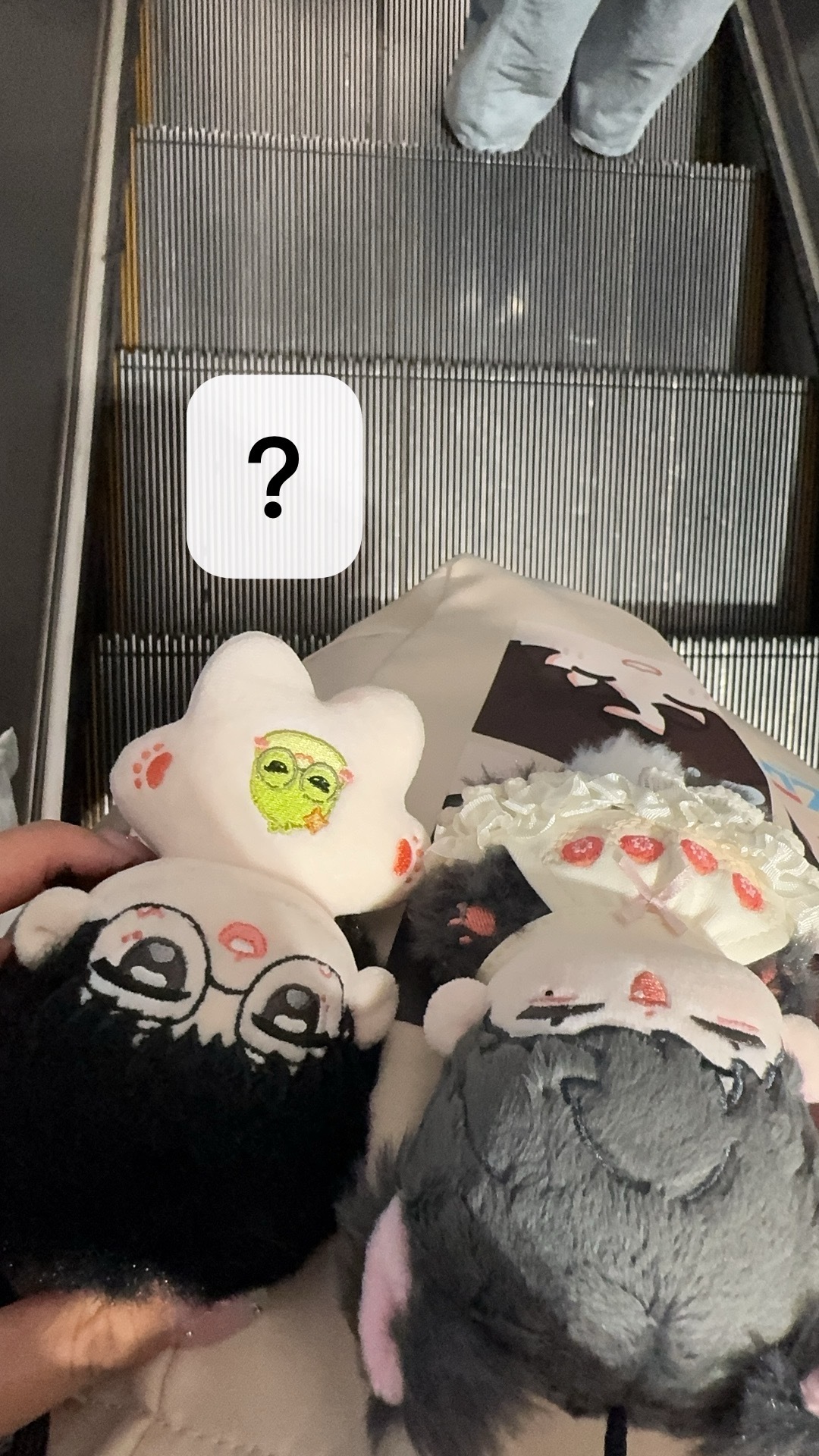 对的对的 