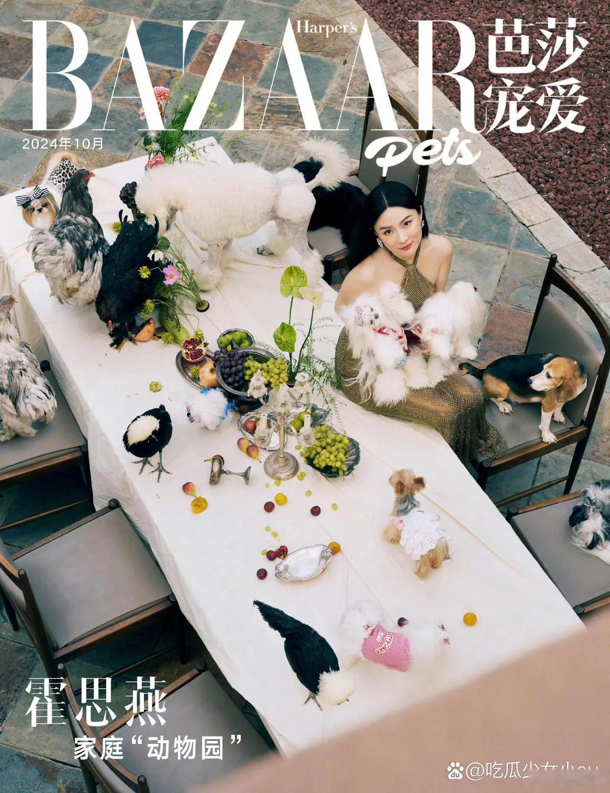 霍思燕在家中拍杂志，差哉美矣！
展现了个啥？
有钱人的孤独，就是在家养宠物，毫无