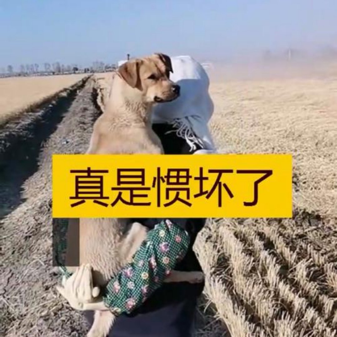 外卖0元购大量奶茶无人认领我在想一个问题，这么疯狂的天天喝奶茶，会不会后面就不爱