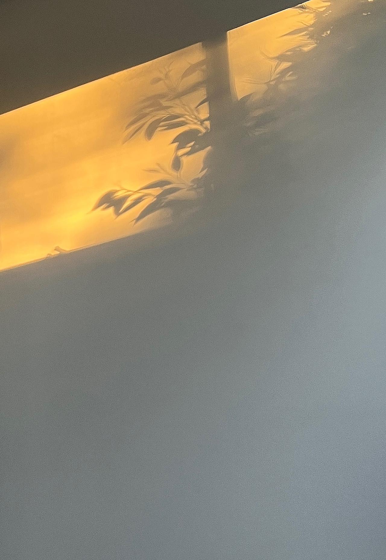生活中，我们总爱给人和事贴标签，以为那就是真相，这其实就是“着相”。就像胡适笔下