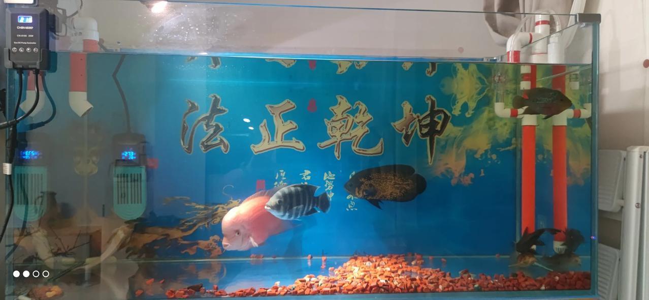 实习律师第135天
        第一次跟带教律师去看守所办认罪认罚，心情激动