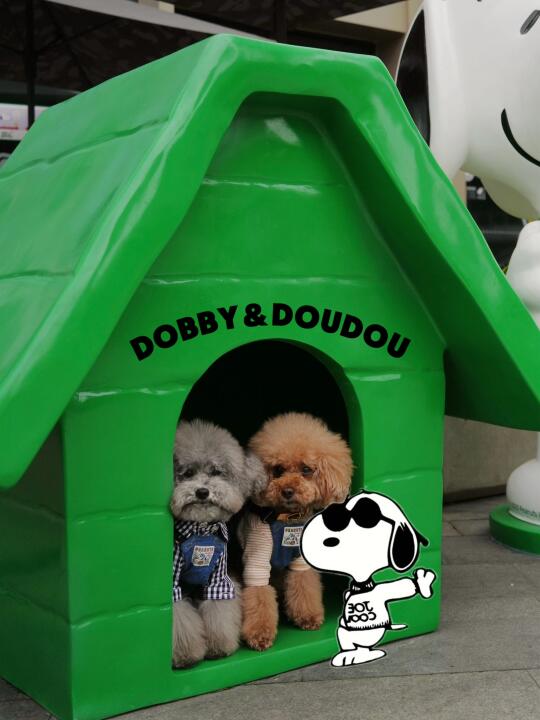 深圳星巴克✖️史努比