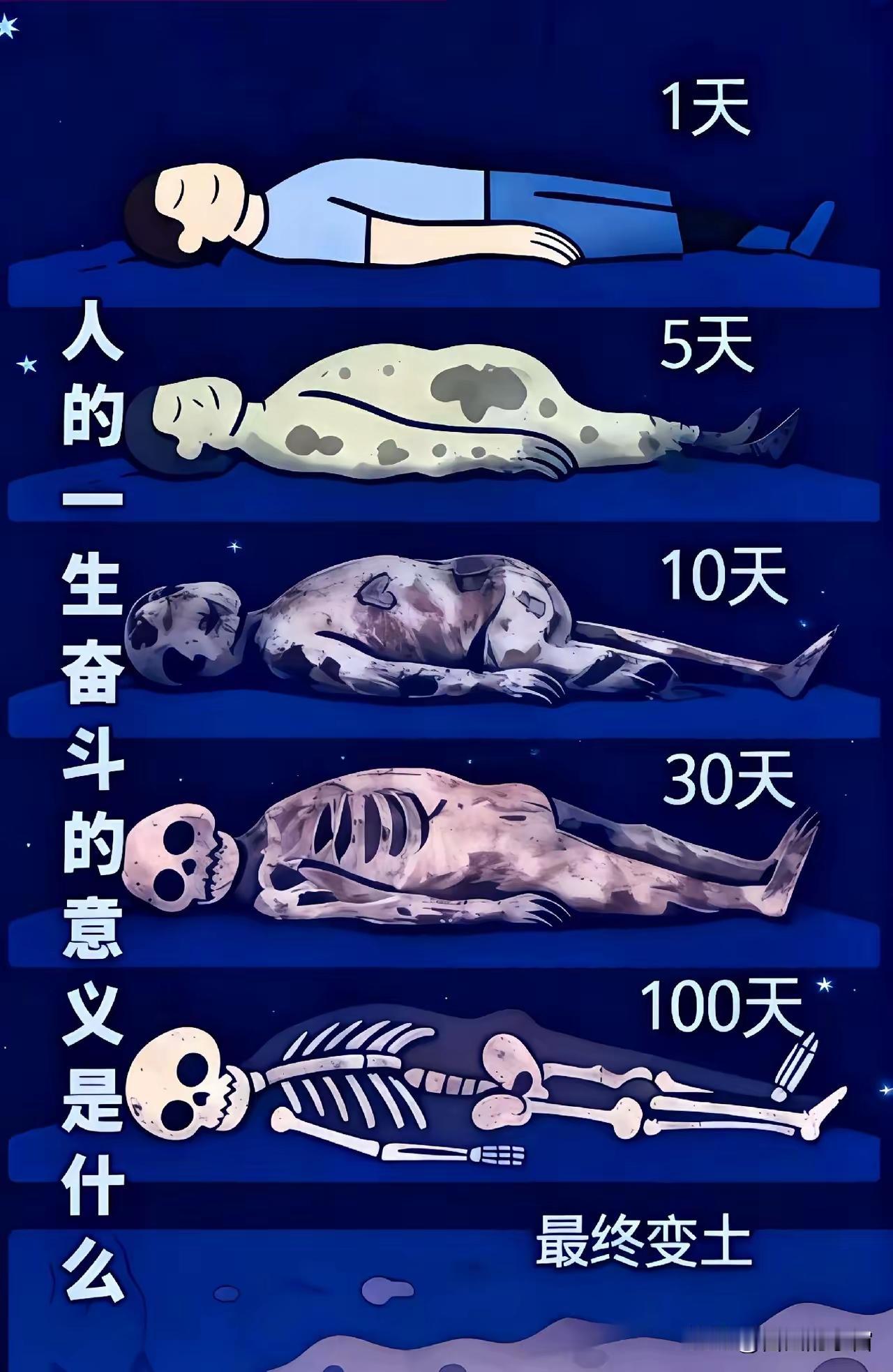 人生无意义，别给自己太大压力。