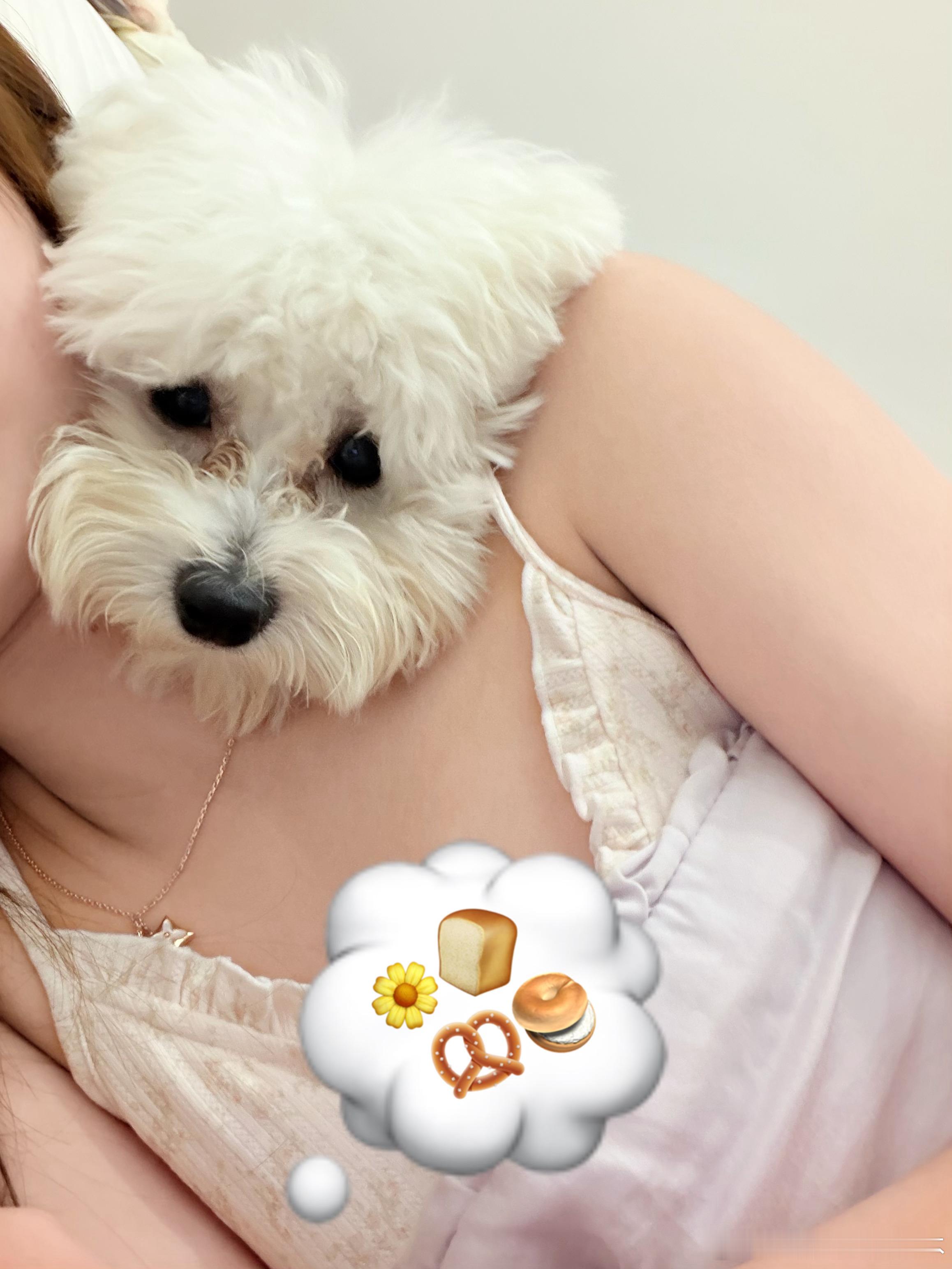 来福每天就如此你也想玩我的手机吗 