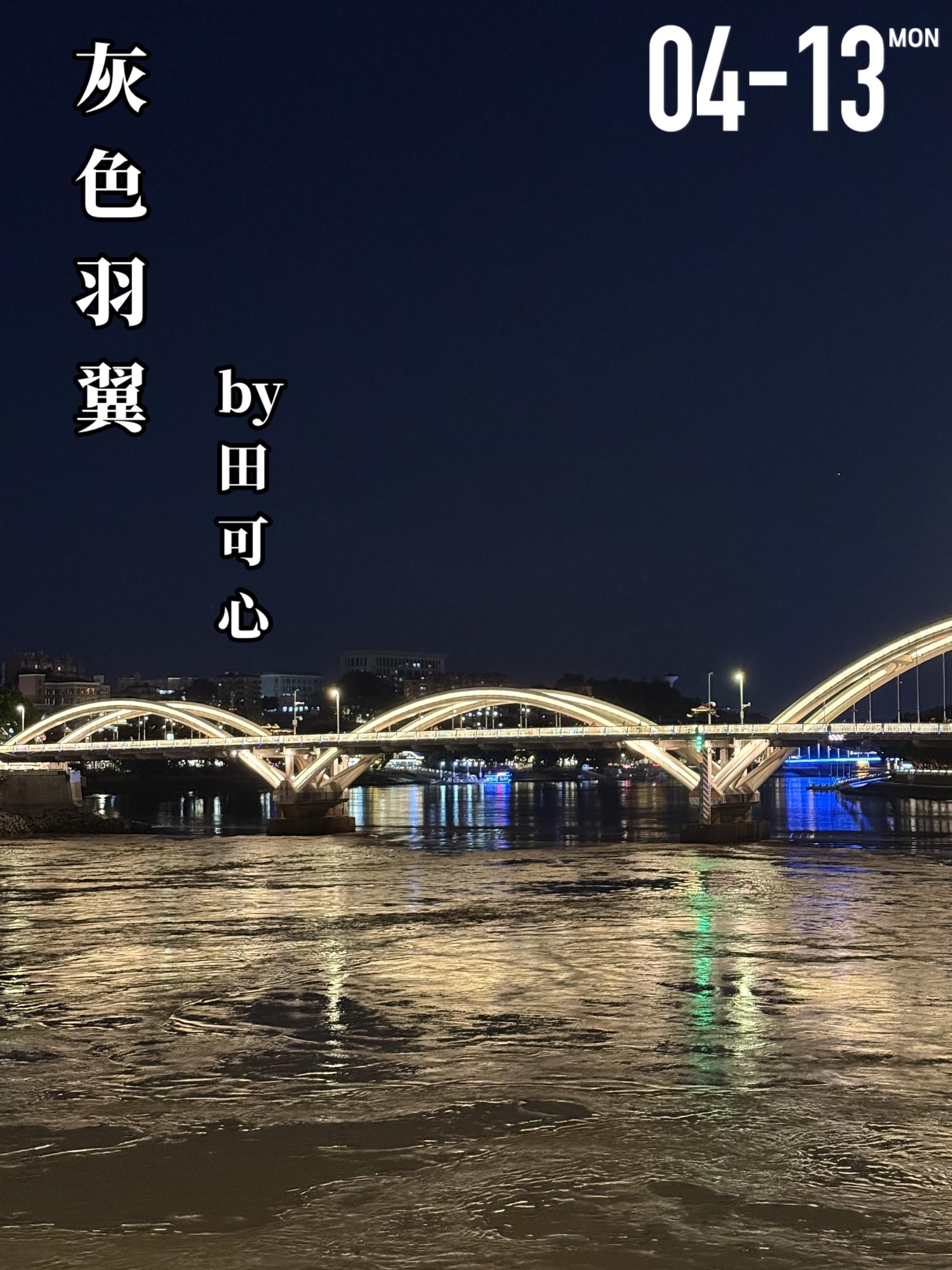 《灰色羽翼》by田可心。谢知轩（男主）对安卉（女主）一见钟情，当时的她...