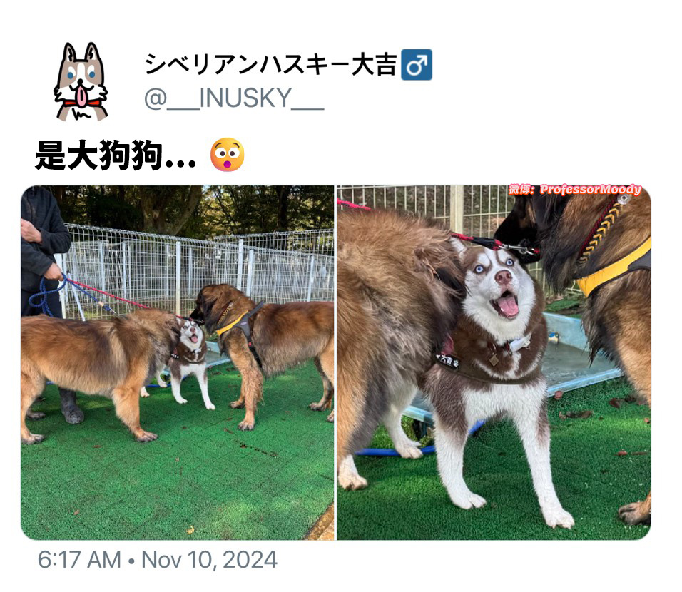 小哈你也有今天#meme# /#笑料江湖争霸赛# ​​​