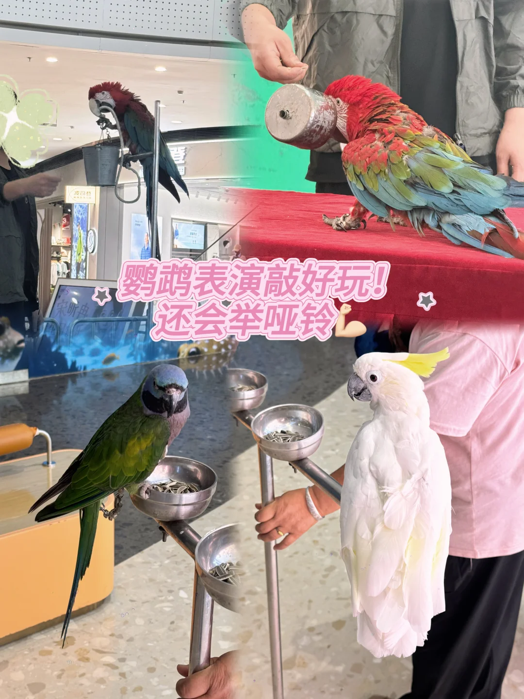 汉阳这商场我能玩一天🤗🤗