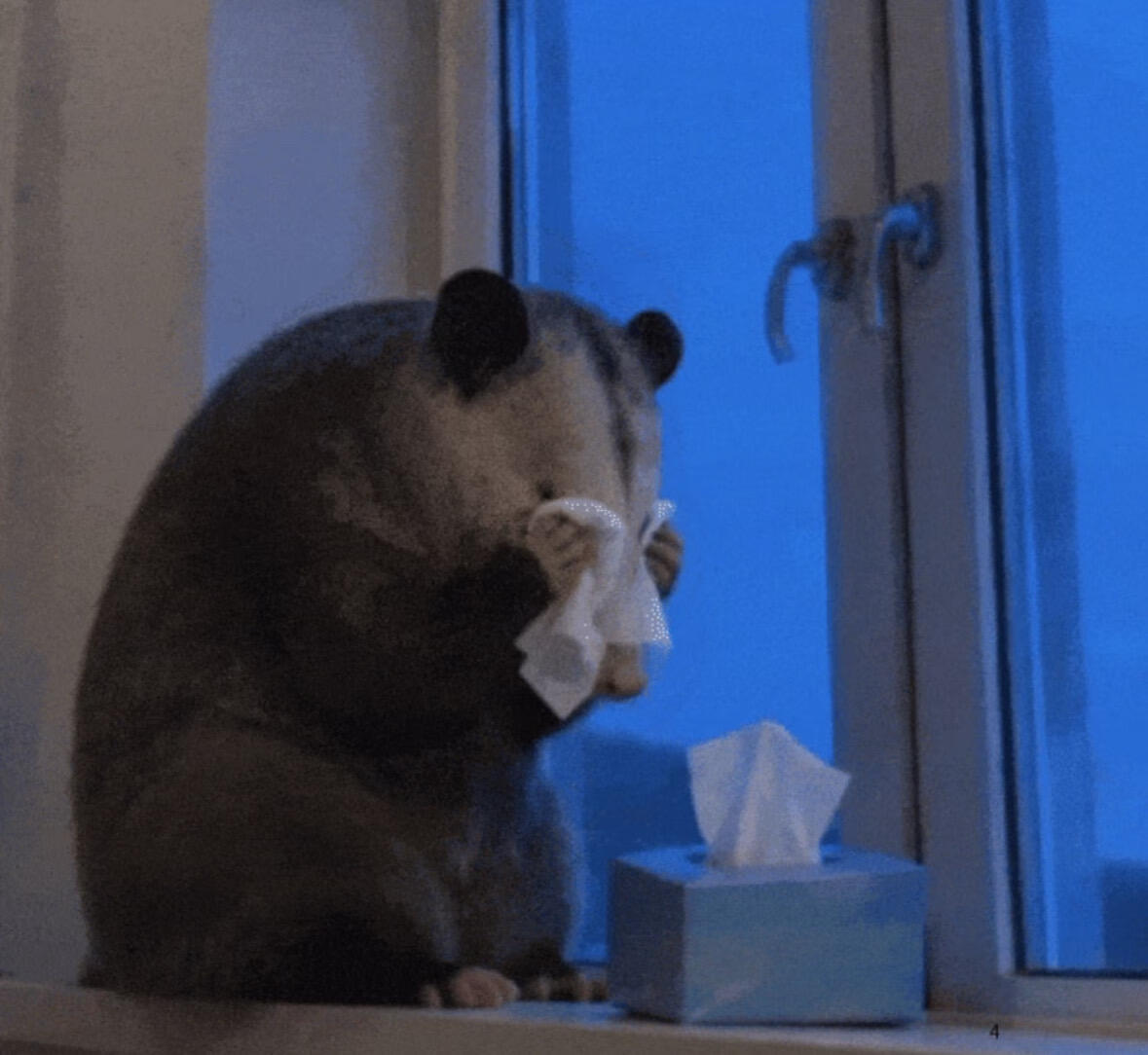想你了，李沛恩。 