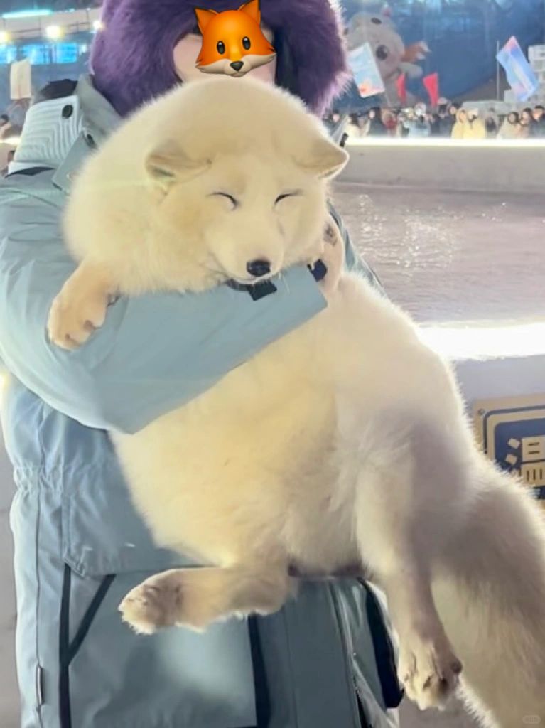 质疑纣王 理解纣王 成为纣王😭😭😭