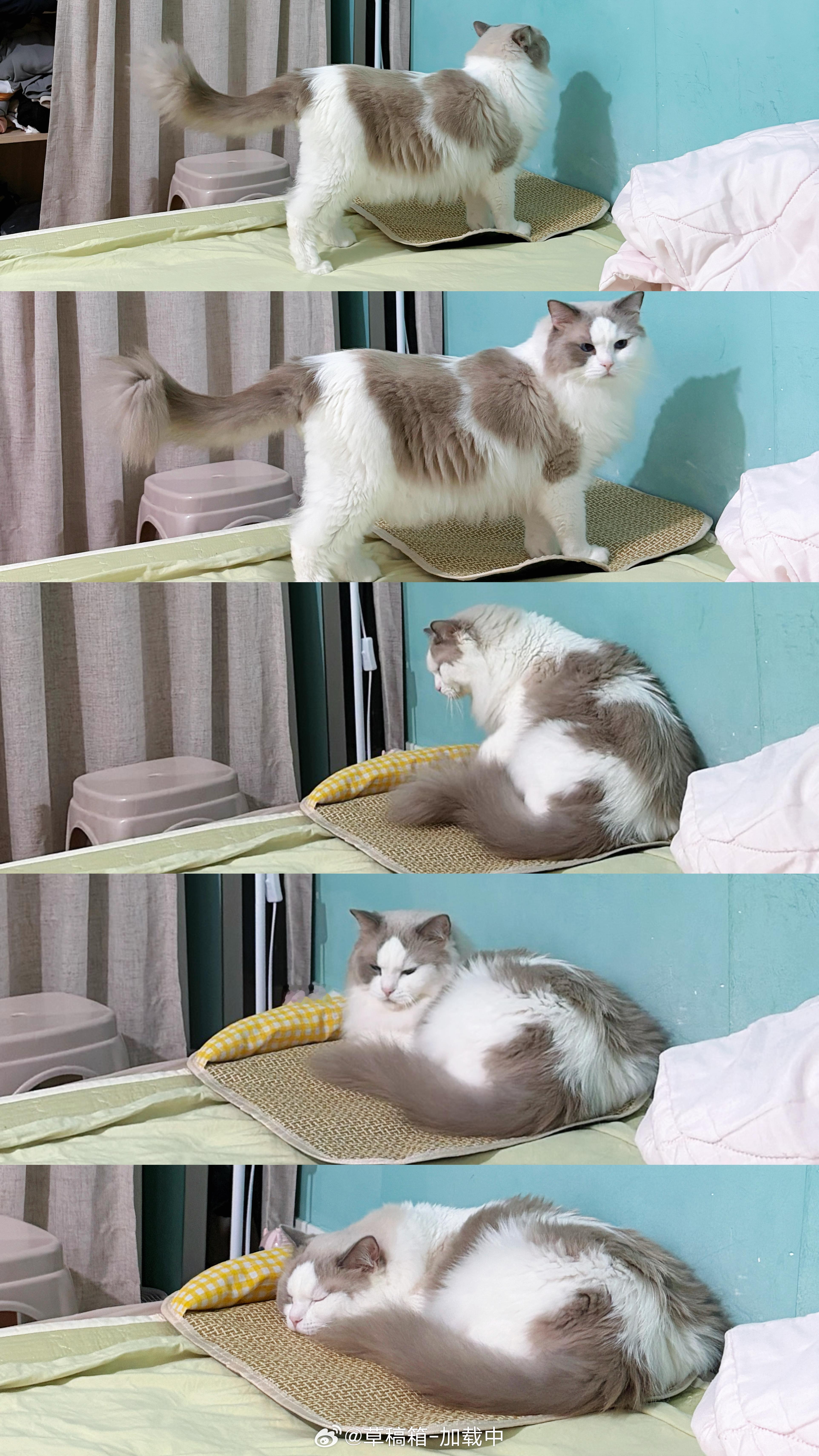 准备睡觉 晚安 