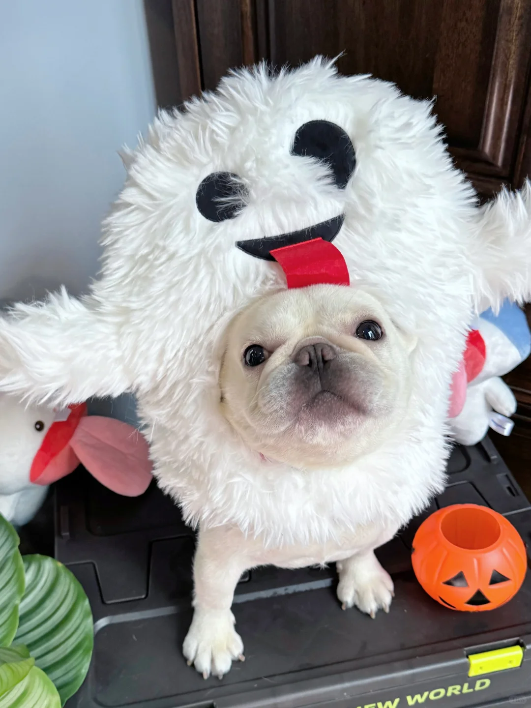 可爱鬼的话，必须有我一席之地！