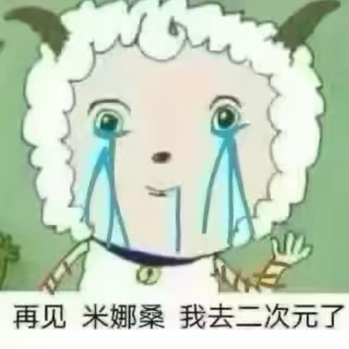 分享图片 