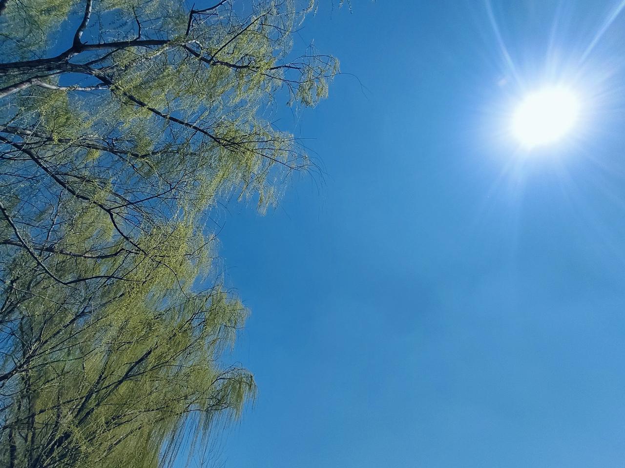 都在说文科已死，让孩子们不选文科，好像都选了理科都能找到工作似的。
在今天这个时