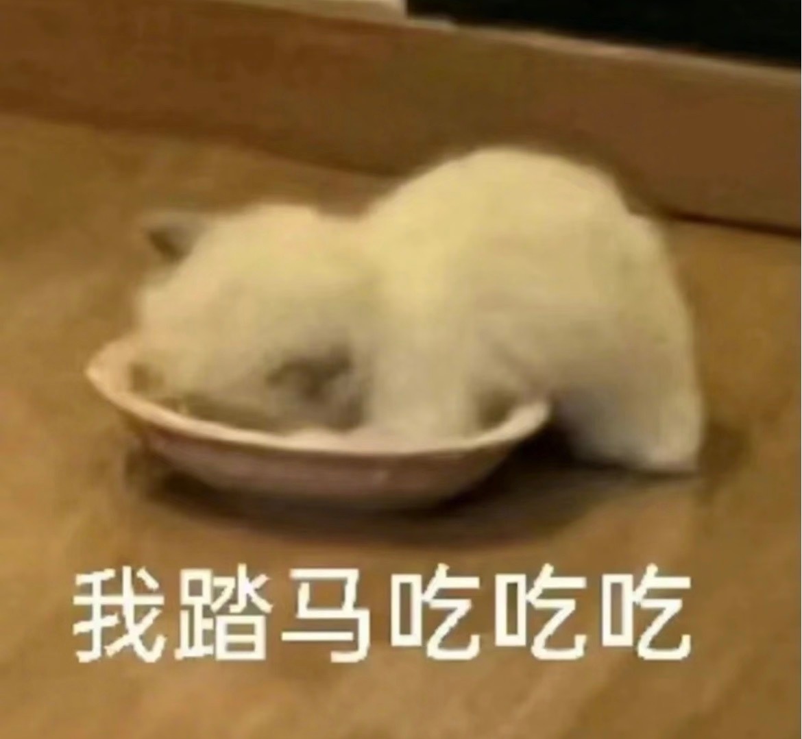 我好好好好好好好饱好饱发饭晕了