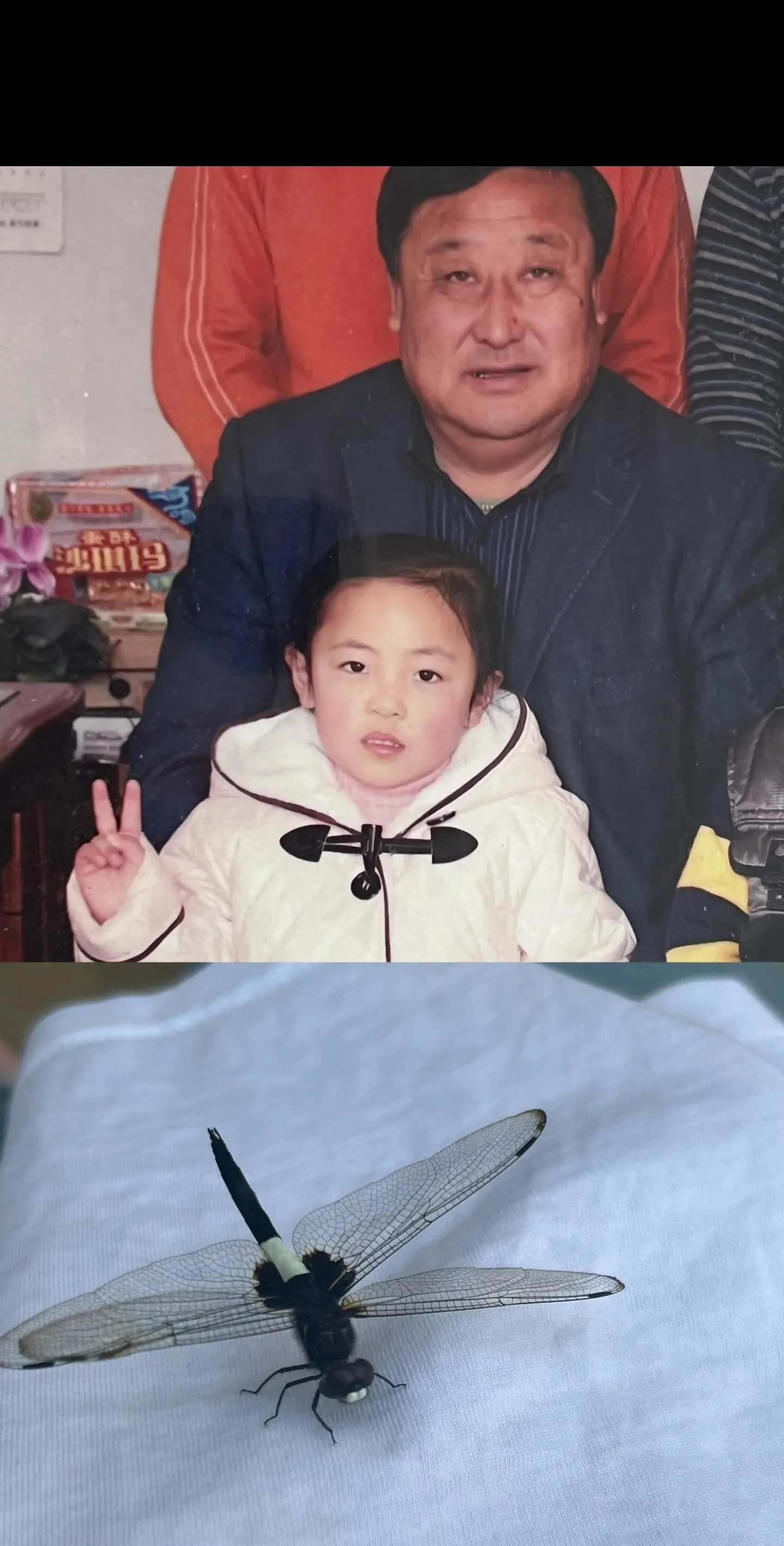 下次与你邂逅又要等十二万年以后