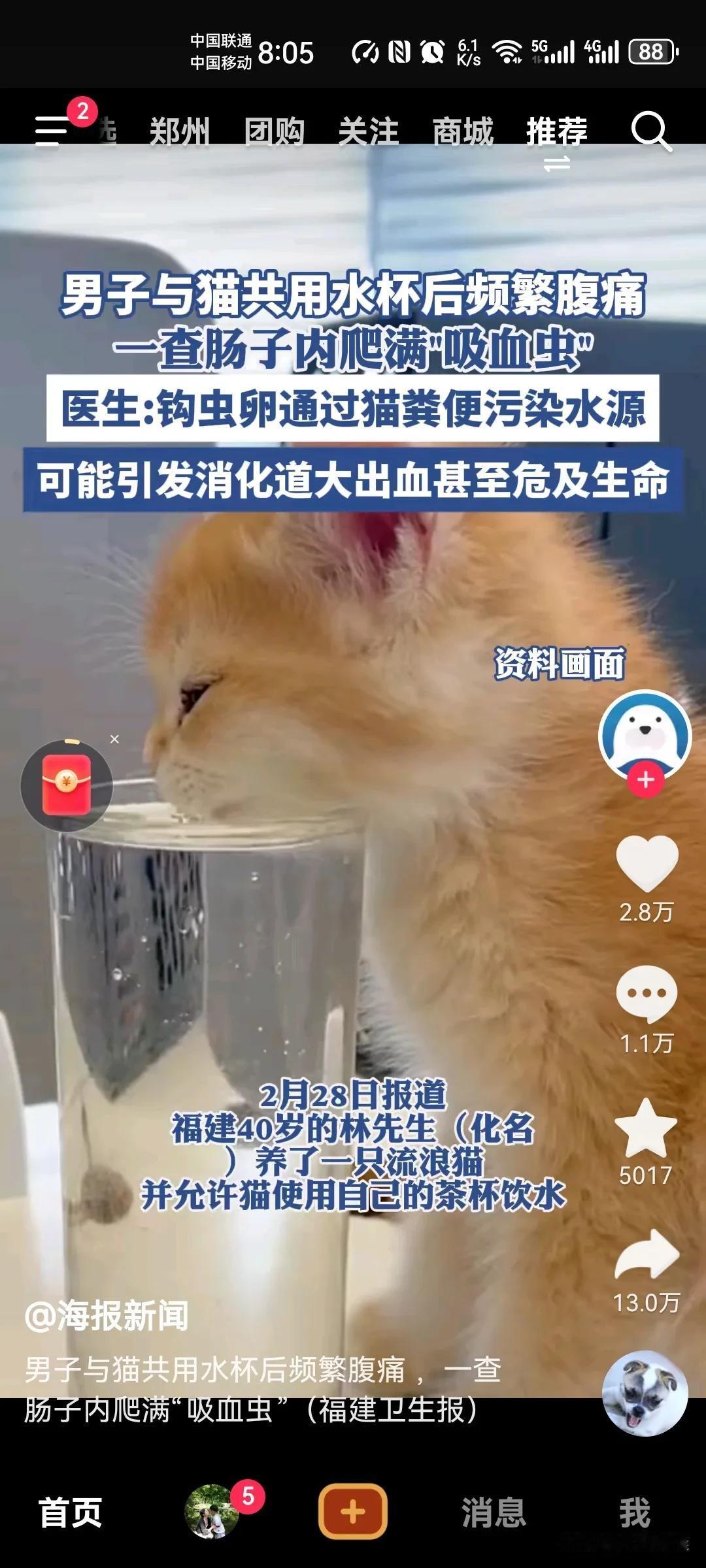 以前我们公司就有一个女的，特别喜欢猫，家里养猫也就罢了，居然在办公室收养流浪猫，