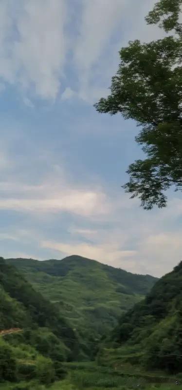 大山里的原生美景，那真是大自然馈赠的宝藏。上次我去了一座深山，刚进山，清新的空气