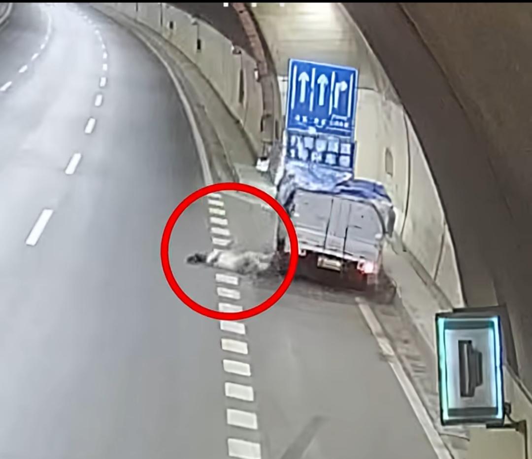 重庆打雷嘴隧道内，货车司机在加盖遮雨布时不慎跌落，倒地后抽搐不止、口吐白沫，过往