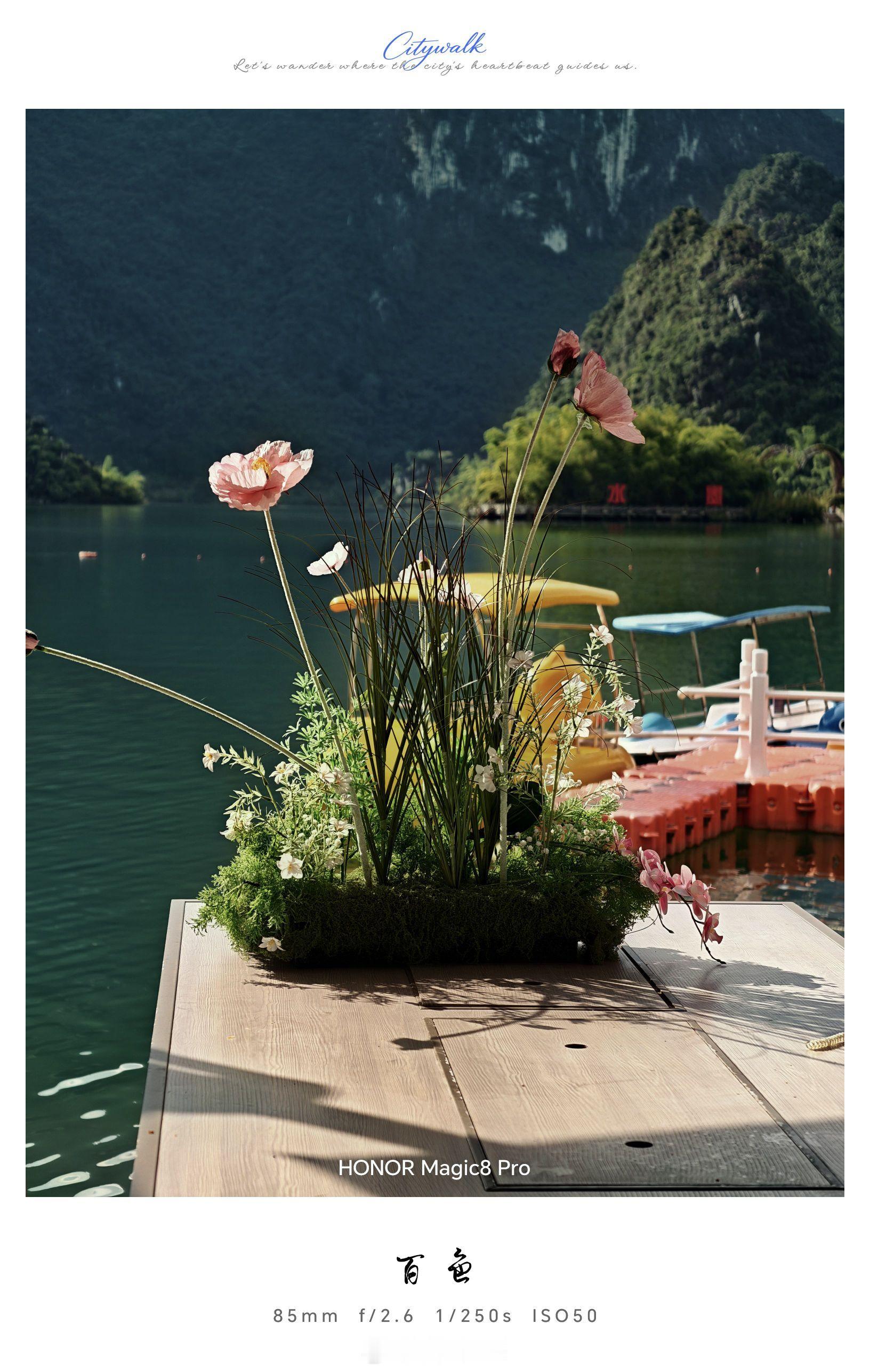 再来一组荣耀Magic8Pro拍的照片，图源网络，侵删。 ​​​