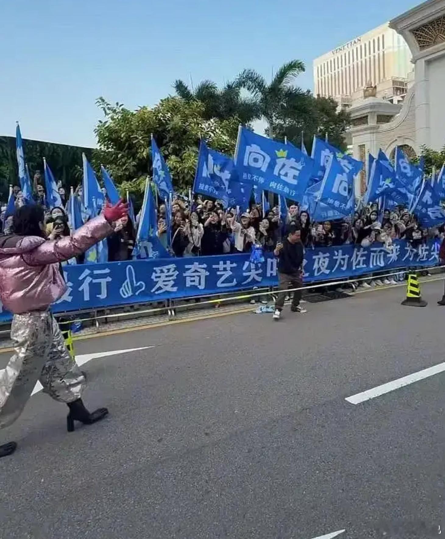 真的不是向华强花钱找人来的吗 