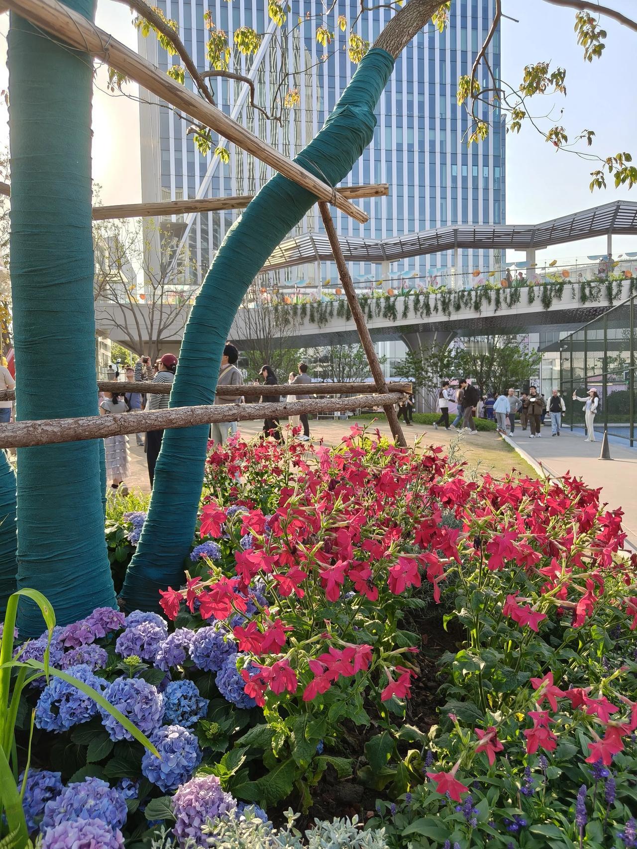 今天去过前滩公园了！

唯一的缺点就是人太多，

相比之下个人觉得还是

去年弄