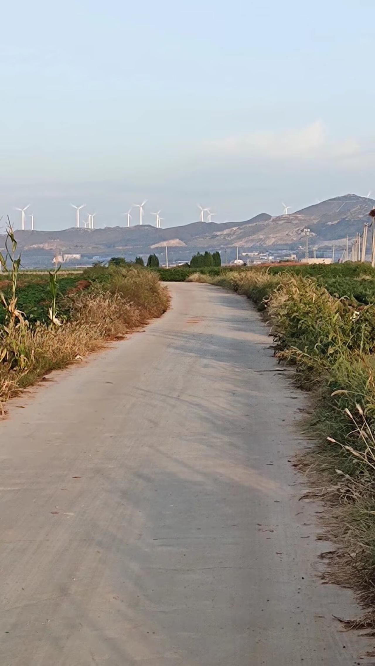 乡村的小路，好幽静。