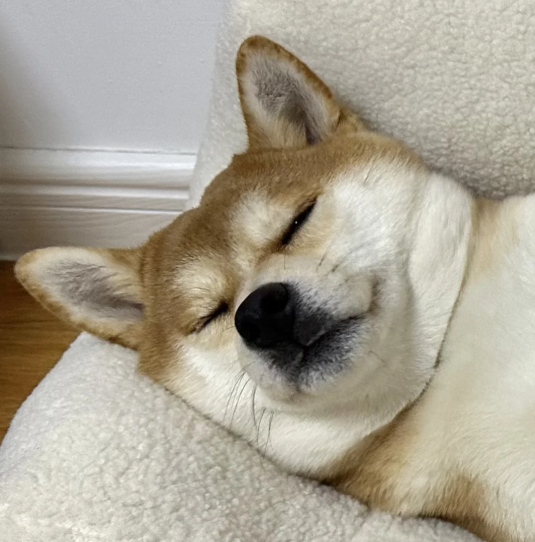 情绪稳定 想谈