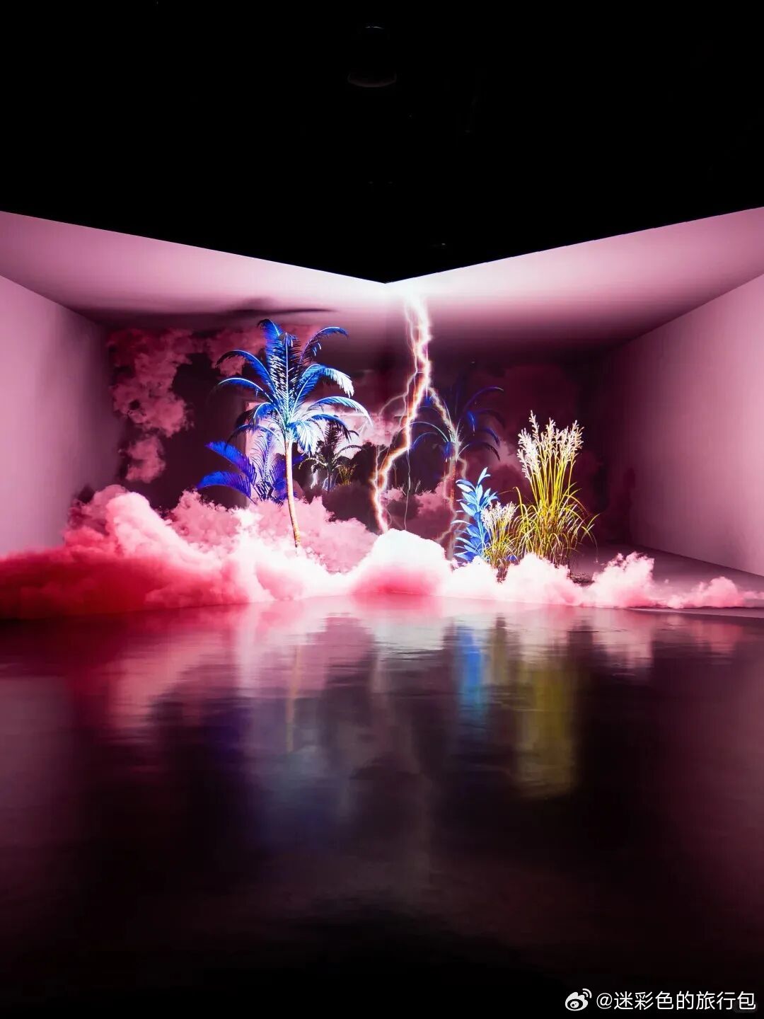 成都沉浸式艺术展扎堆上新！ARTE MUSEUM 全球巡展作品首亮，粉色月球花海