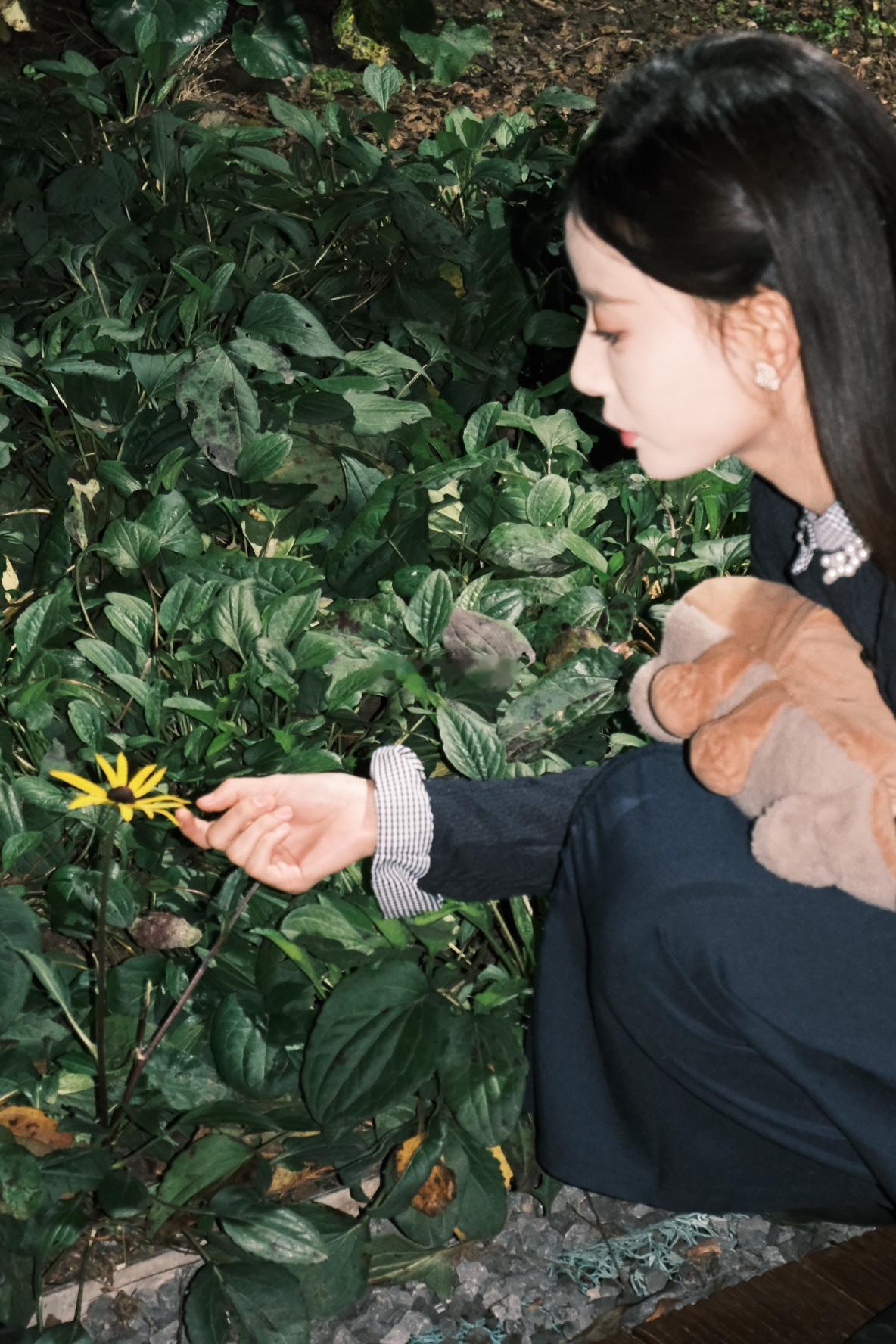 像这朵小花一样 坚毅 