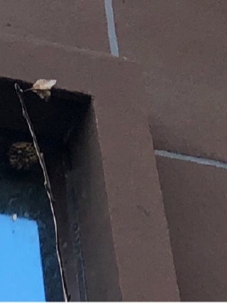 《晓出净慈寺送林子方》宋·杨万里毕竟西湖六月中，风光不与四时同。接天莲叶无穷碧，