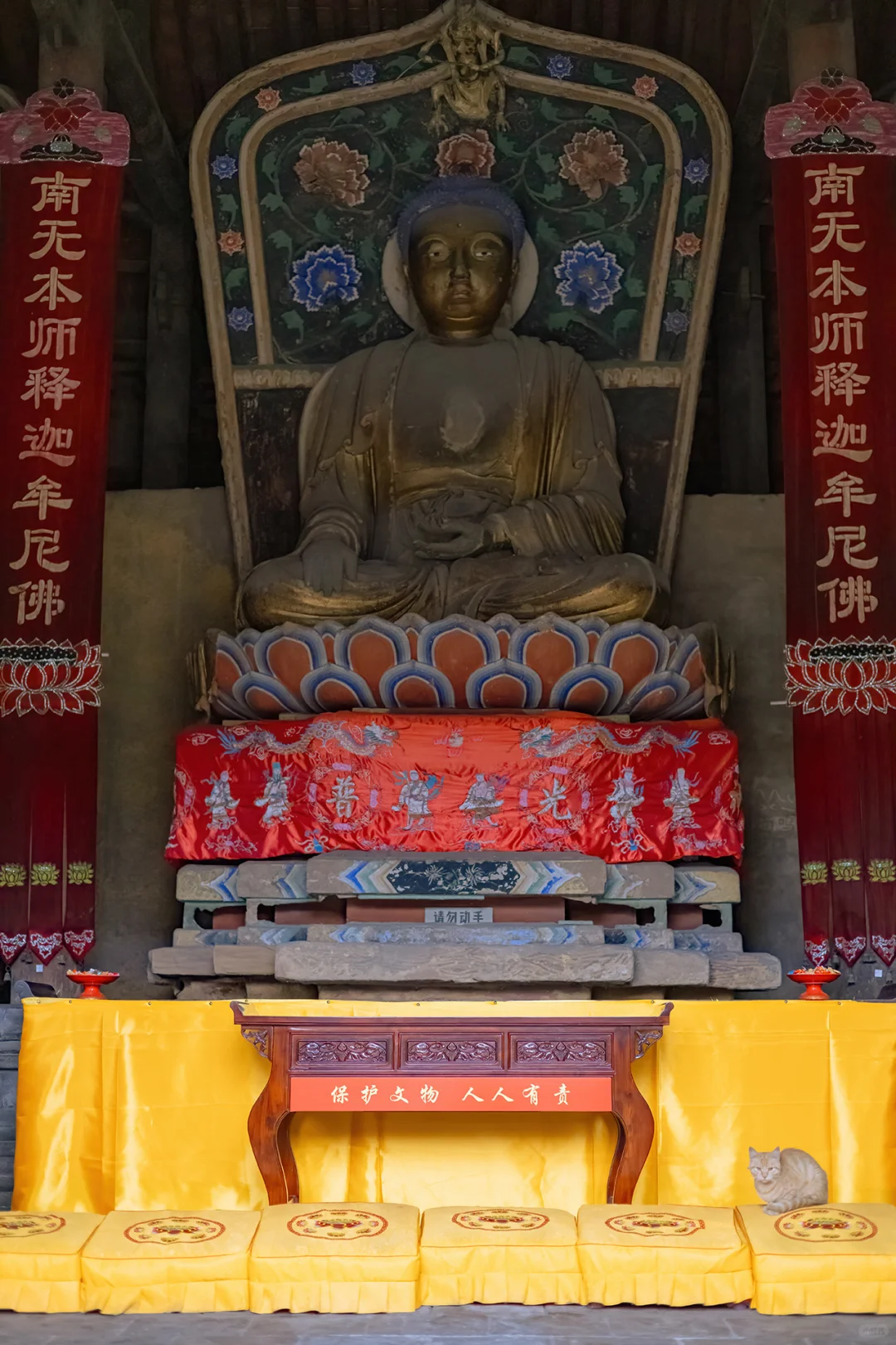 山西古寺中，和猫猫一起躲雨