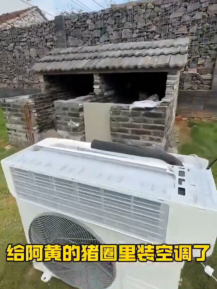 大夏天能吹上凉爽的空调，看得出狗子很开心