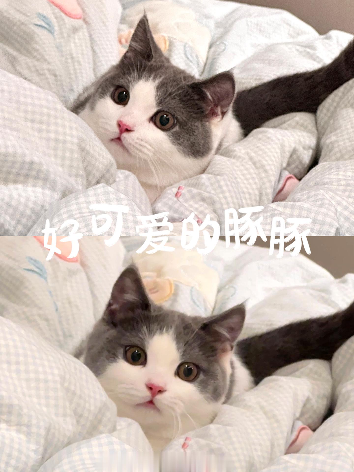 - ̗̀ ꪔ̤̥ꪔ̤̮ꪔ̤̫  ̖́  苏州快乐碎片Plog#不设限生活场# 上