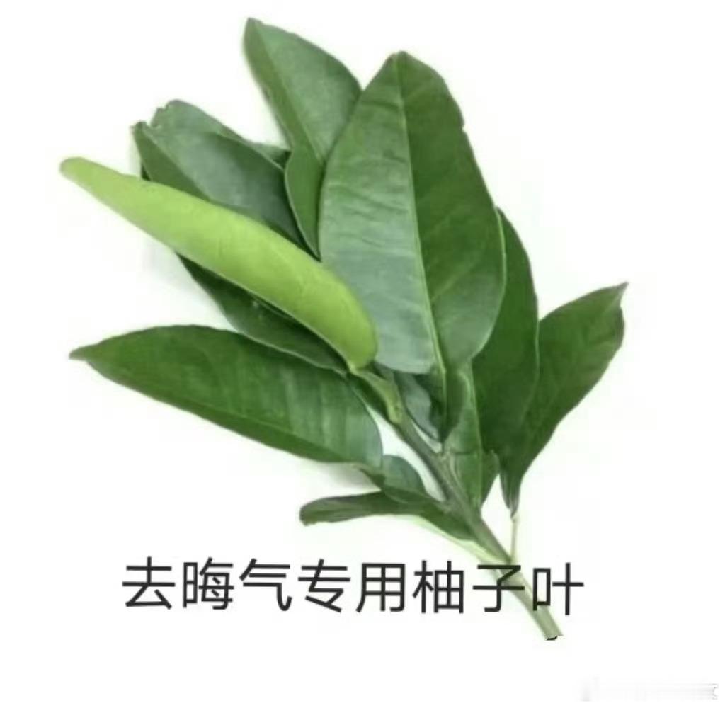 十二月的奇迹我就希望我的绩点可以高一点坏人都远离我背刺说我的被反噬