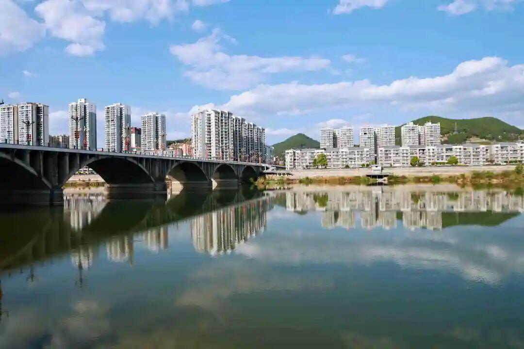 盐亭县第十九届人大常委会第四十二次主任会议决定：因工作需要，盐亭县第十九届人民代