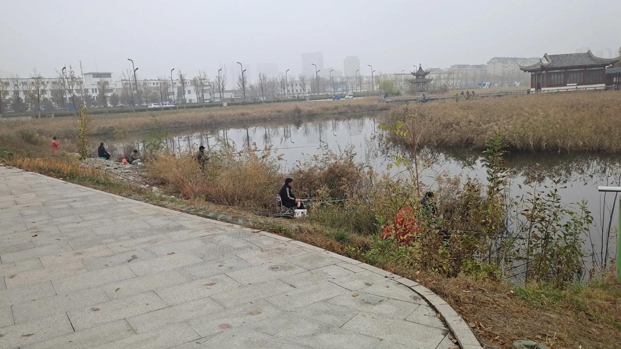 东营北二路的供水公园让人大开眼界。


来供水串门，被路边的小湖惊到了。


芦