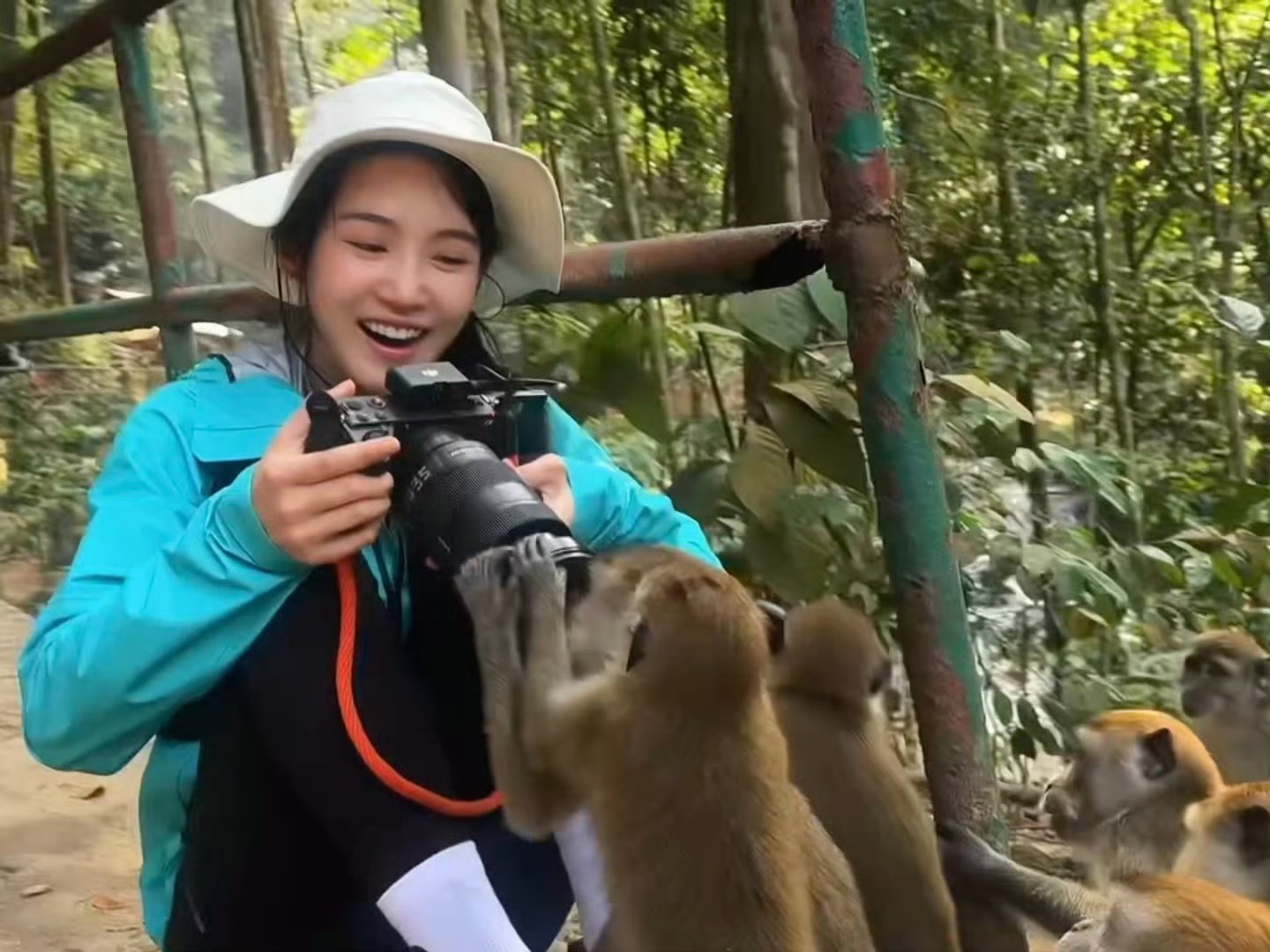 猴子抢卢昱晓相机好有生命力的卢昱晓啊，内娱这样的女明星真的很少见！！ ​​​