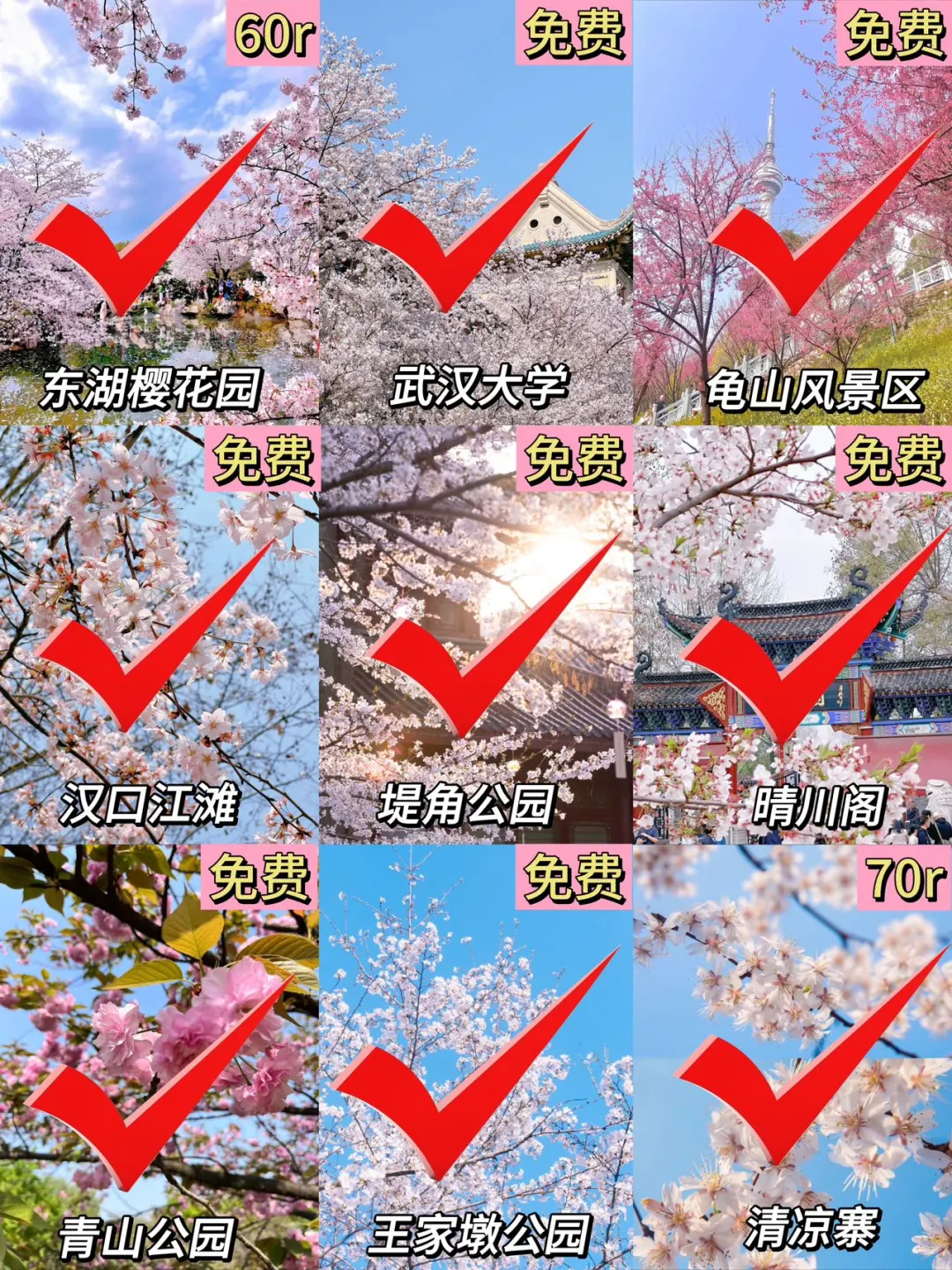 2025来武汉赏花🌸这10个景点不要错过！！