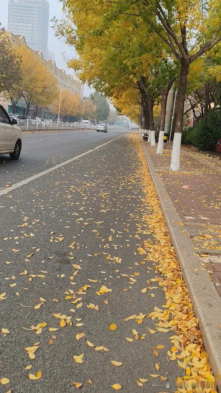 前两天，一个远房亲戚突发心梗去世，据说从发病到死亡不到一个小时，救护车还没进医院