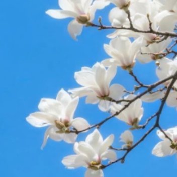 每日一善 ⭐️ 每日一善  ⭐️ 阳光信用 昔年，走遍了山川和河流，看遍了世间所