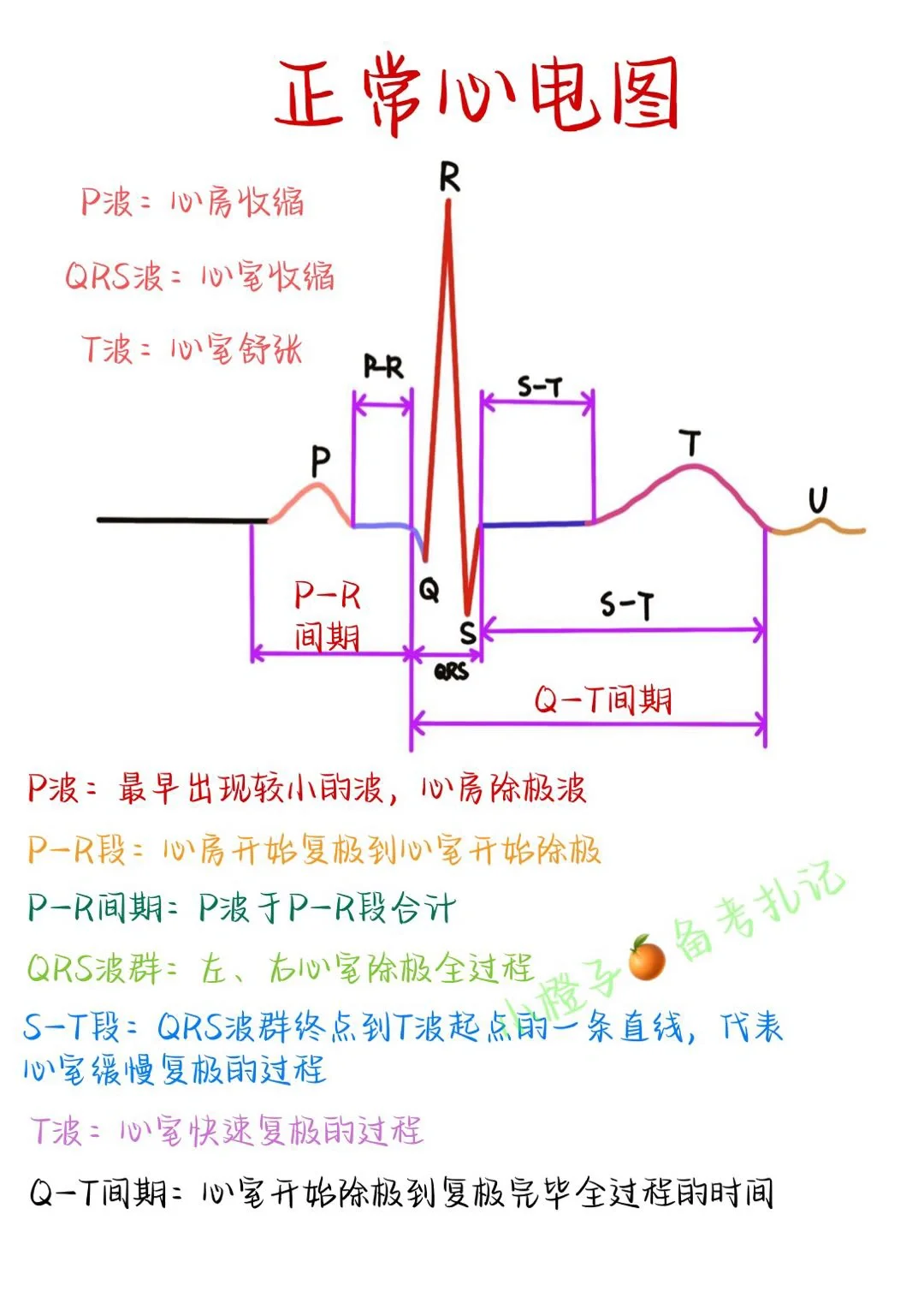 📖实习必备｜正常心电图｜心率怎么算❓
