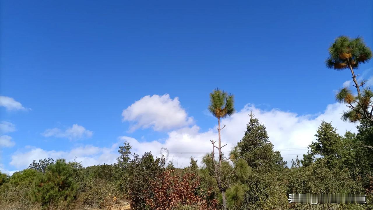 婚姻和爱情虽然密切相关，但并不是完全相同的概念。爱情通常指的是一种情感上的连接和