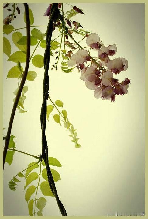 人生感悟（98）：要想提升境界，请先修炼自己！

人生难得有四重境界：
一是痛而