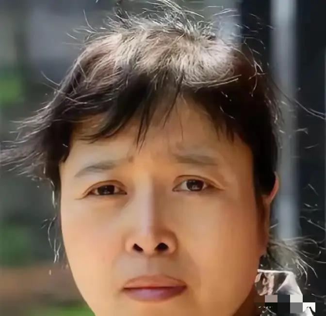 2014年，丁嘉丽没跟儿子商量，偷偷把北京朝阳区住了十几年的唯一住房给抵押了，从