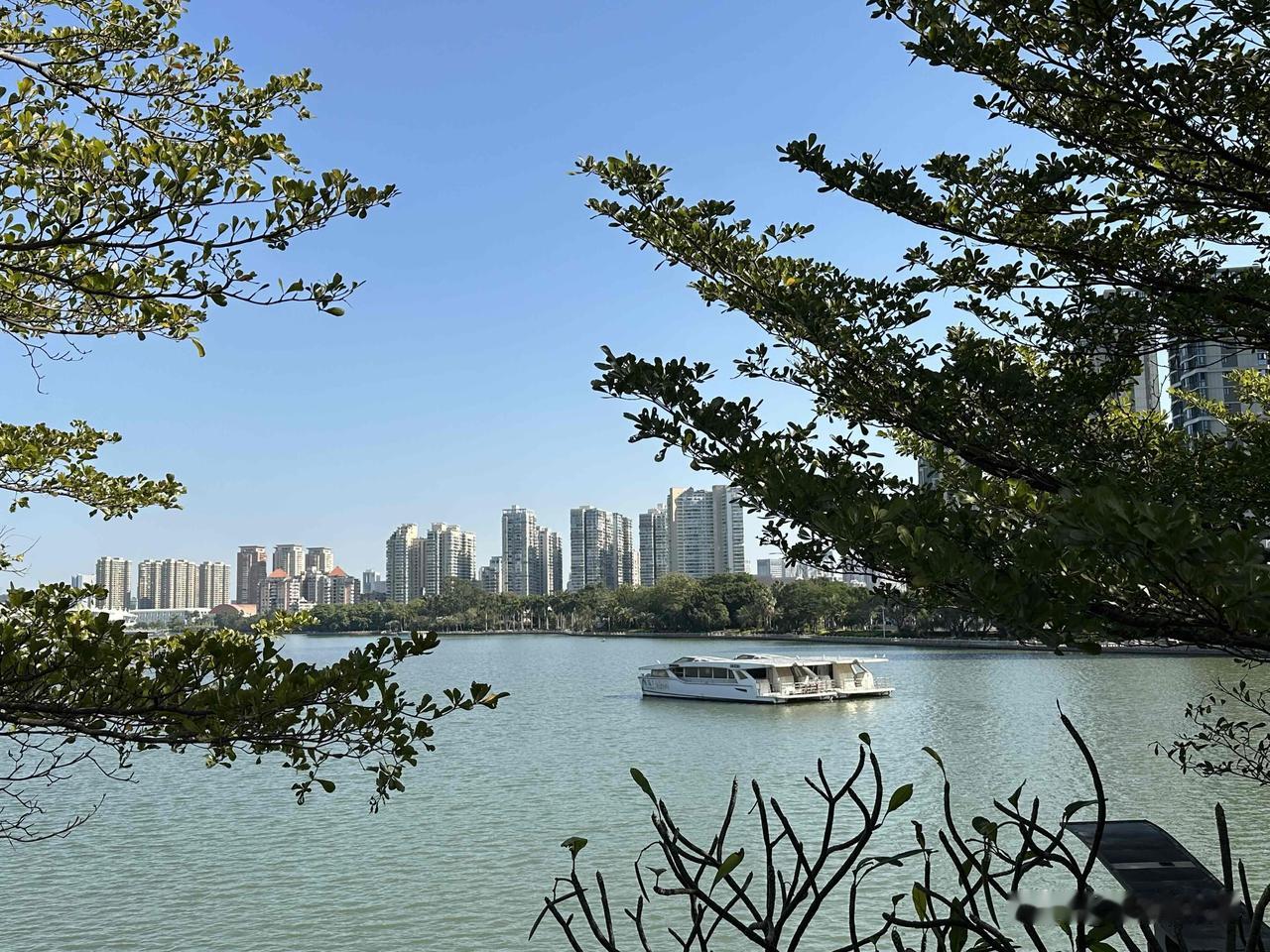 分享今天的随手拍！